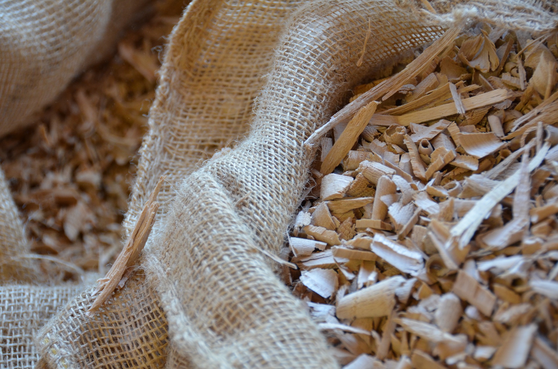 Räucherchips Eiche - Premium - 0,75l