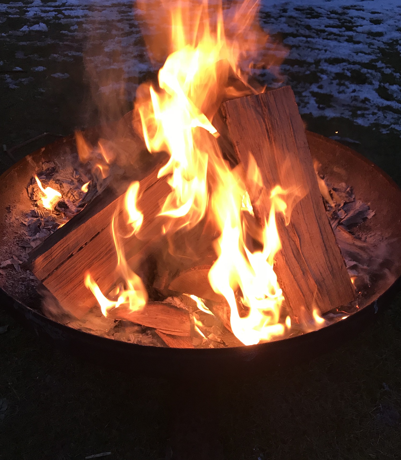 Buchen-Brennholz - 25 kg Premium ohne Rinde